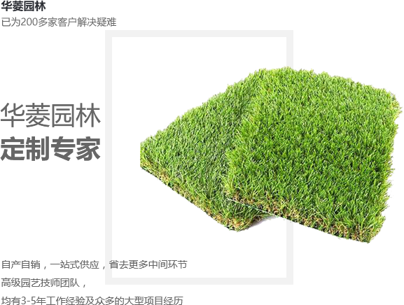果嶺草草坪_百慕大草坪_早熟禾草坪_草皮批發廠家_河南綠化草坪基地_綠化草坪種植_新鄉市華菱園林有限公司